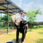 Agra Jaipur Cab Anuj Chahar (3)