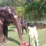 Agra Jaipur Cab Anuj Chahar (32)