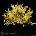 Agra Jaipur Cab Anuj Chahar (48)