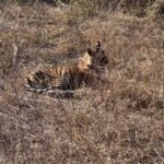 Agra Jaipur Cab Anuj Chahar (52)