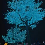 Agra Jaipur Cab Anuj Chahar (55)