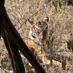 Agra Jaipur Cab Anuj Chahar (64)