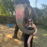 Agra Jaipur Cab Anuj Chahar (7)