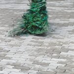 Agra Jaipur Cab Anuj Chahar (70)