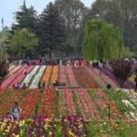 Agra Jaipur Cab Anuj Chahar (71)