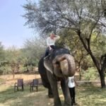 Agra Jaipur Cab Anuj Chahar (79)